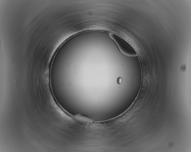 X0000096961092200802151230