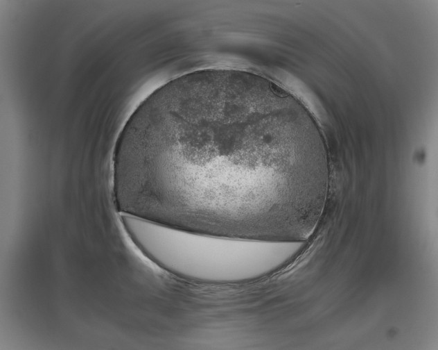 X0000096961095200802151230