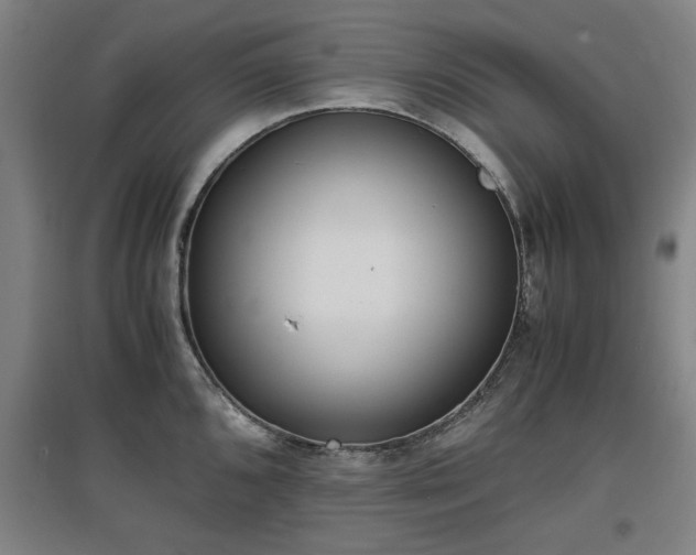 X0000096961096200802151230