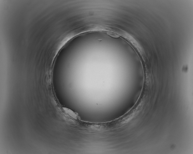 X0000096961097200802151230