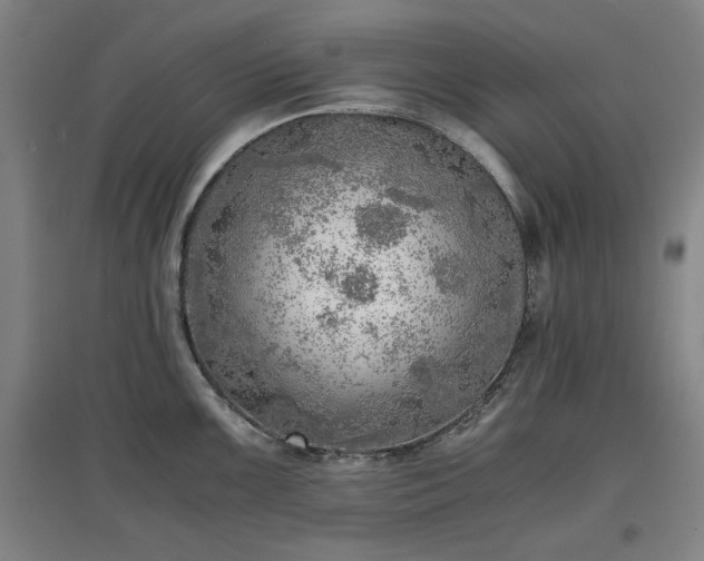 X0000096961099200802151230