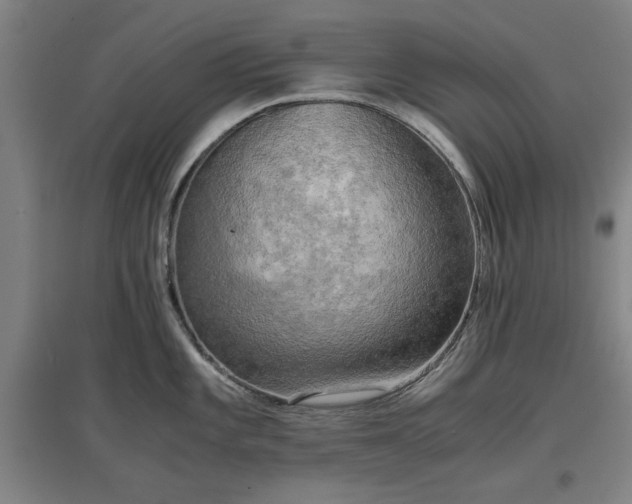 X0000096961101200802151230