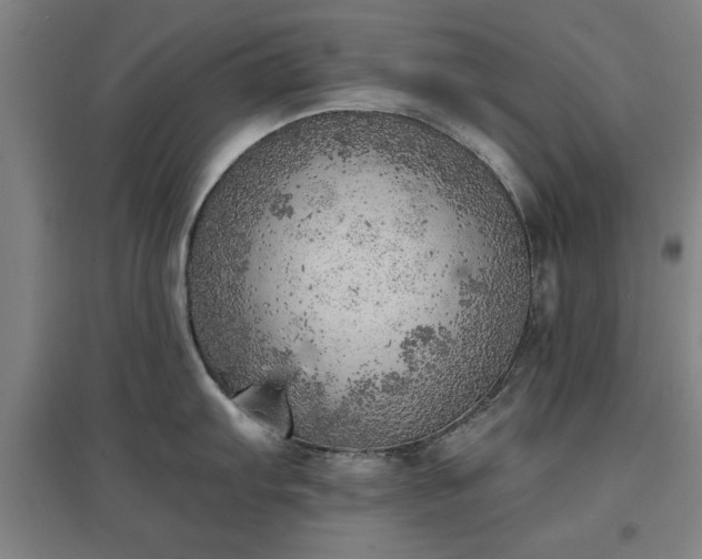 X0000096961103200802151230