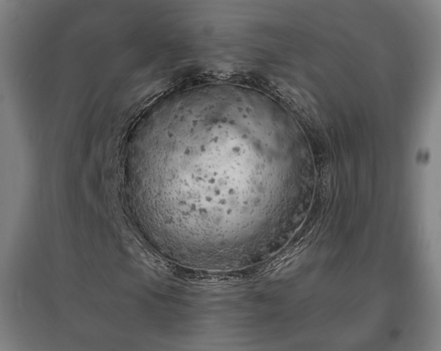 X0000096961105200802151229