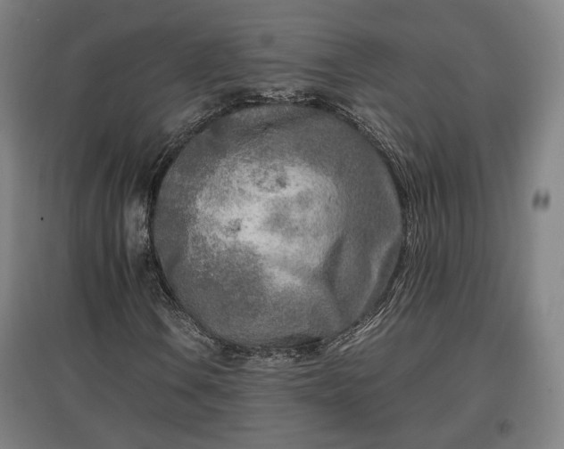 X0000096961106200802151229