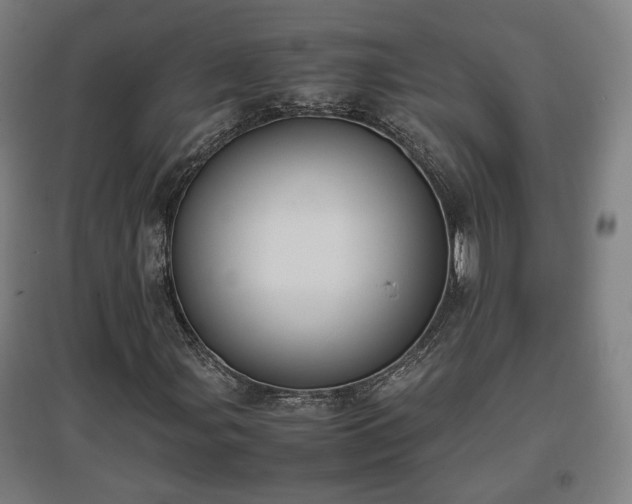 X0000096961107200802151229