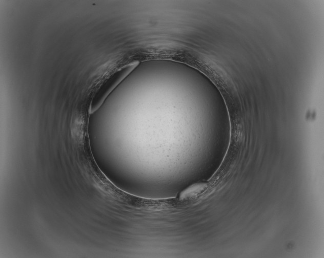 X0000096961108200802151229