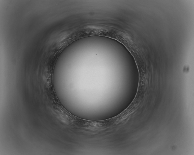 X0000096961109200802151229