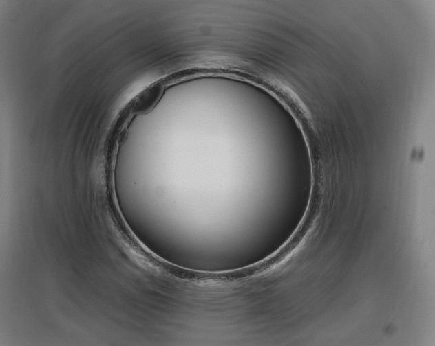 X0000096961114200802151229