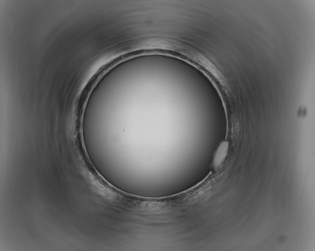 X0000096961116200802151229