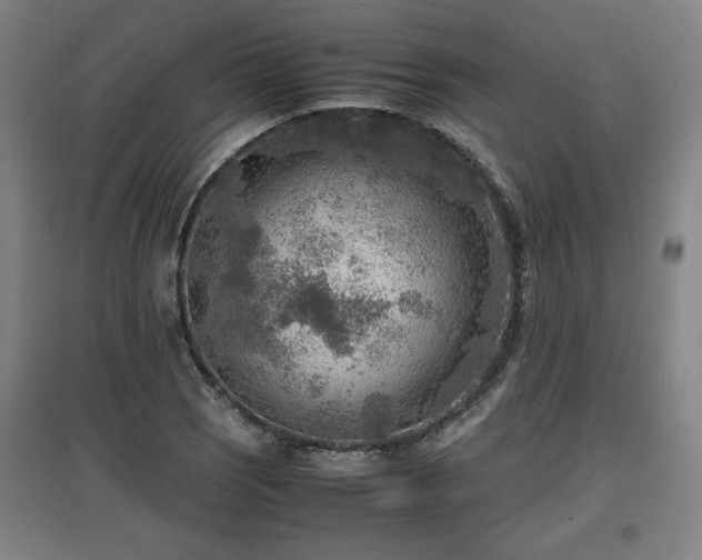 X0000096961121200802151229