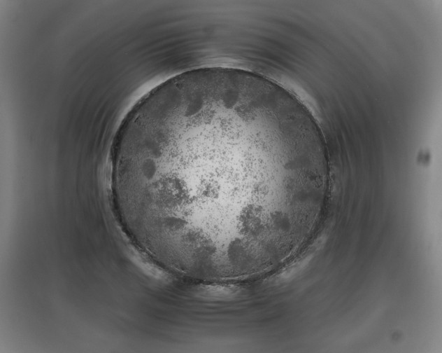 X0000096961125200802151229