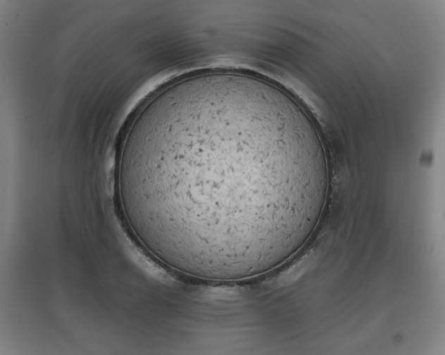 X0000096961126200802151229