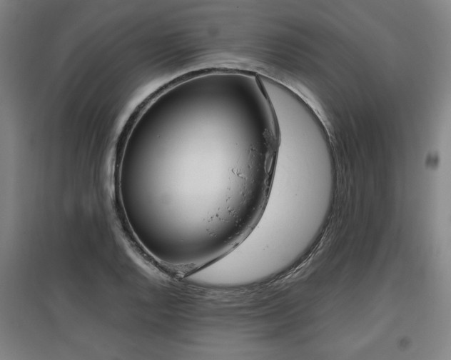 X0000096961128200802151229