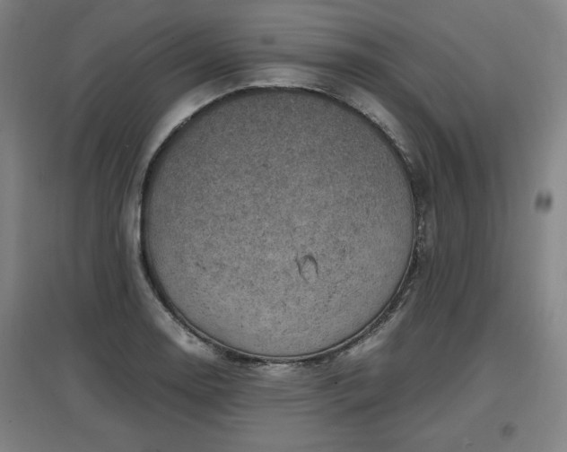 X0000096961130200802151229