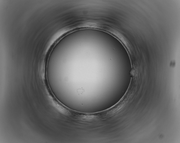 X0000096961131200802151229