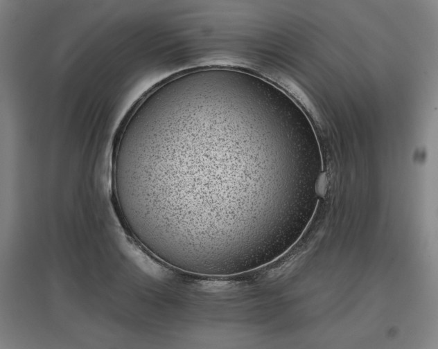 X0000096961132200802151229