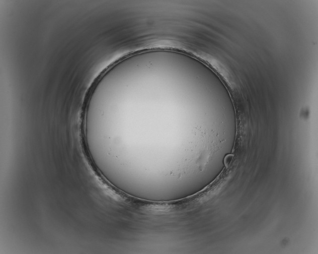 X0000096961134200802151229