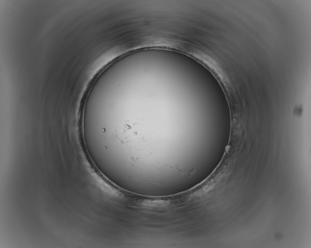 X0000096961135200802151229