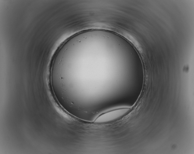 X0000096961136200802151229