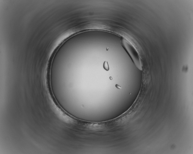 X0000096961139200802151230