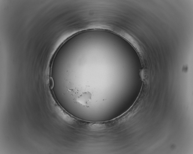 X0000096961140200802151230