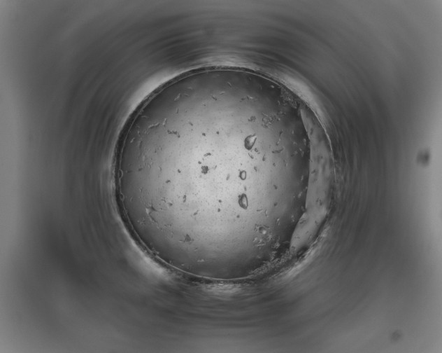 X0000096961141200802151230