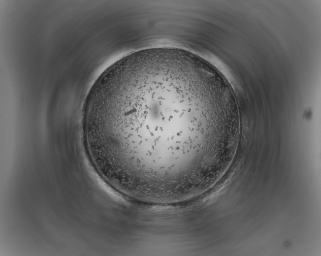 X0000096961142200802151230