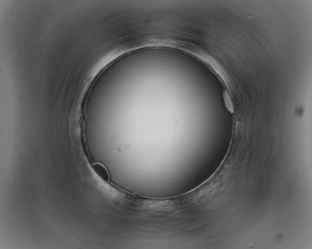 X0000096961143200802151230