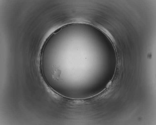 X0000096961144200802151230