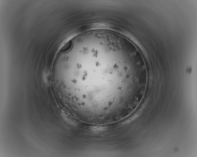 X0000096961145200802151230