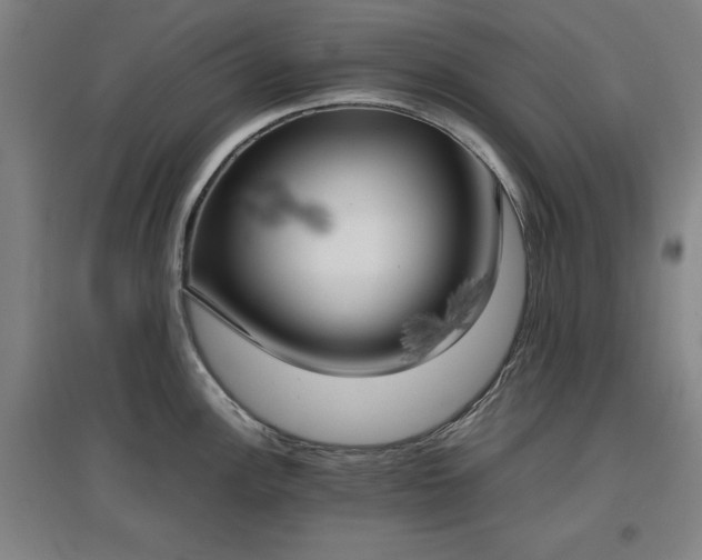 X0000096961148200802151230