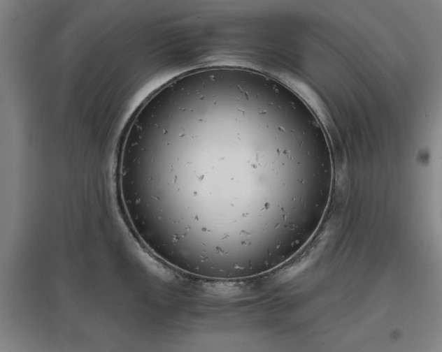 X0000096961149200802151230