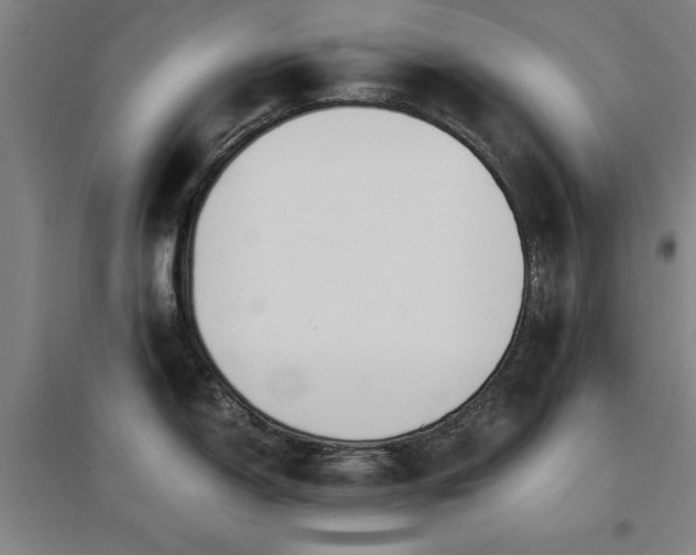 X0000096961150200802151230