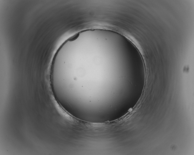 X0000096961152200802151230