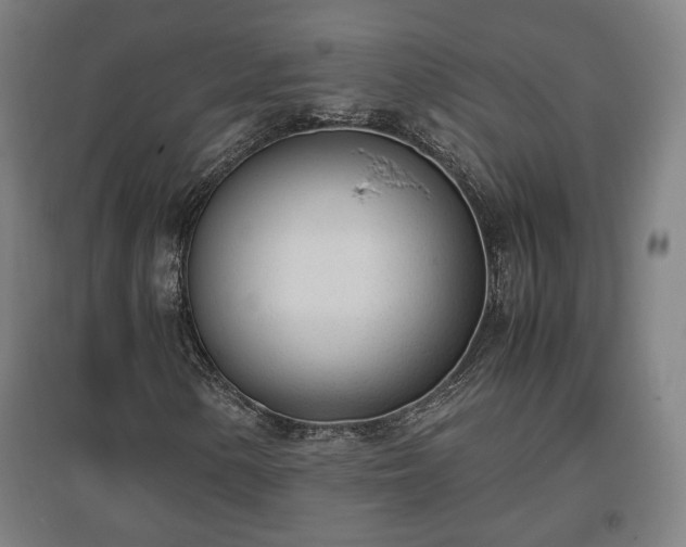 X0000096961154200802151229