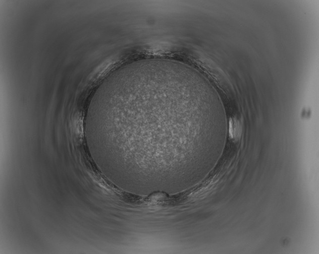 X0000096961155200802151229