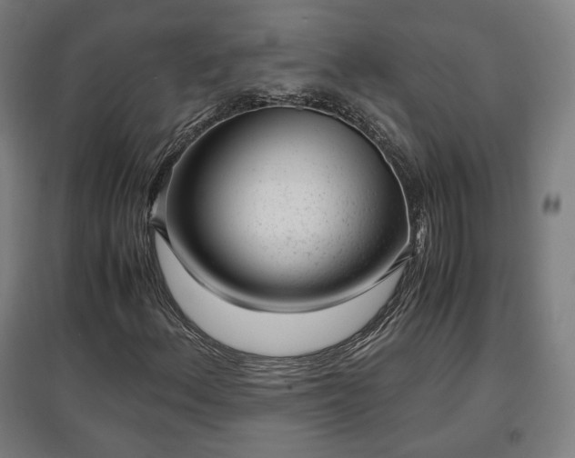 X0000096961156200802151229