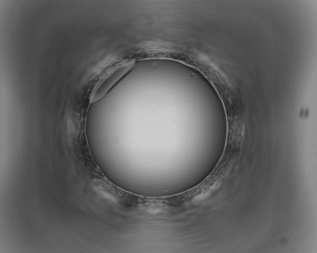 X0000096961157200802151229