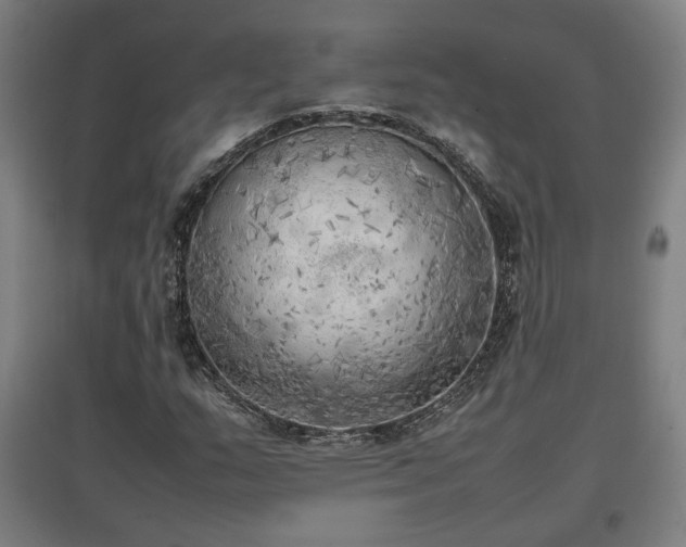 X0000096961159200802151229