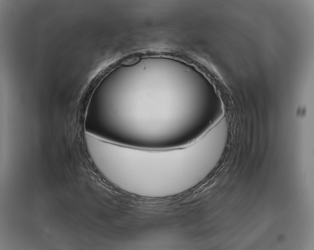 X0000096961160200802151229