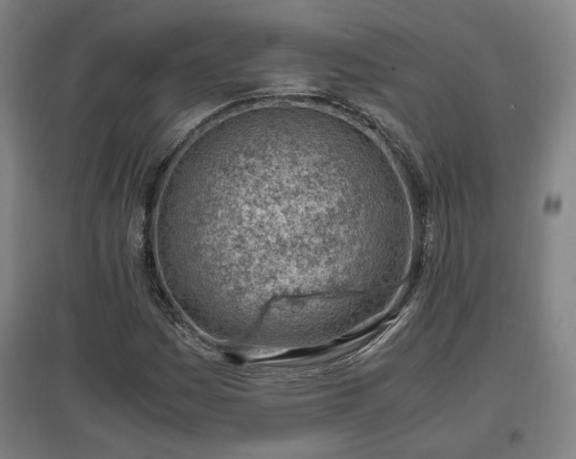 X0000096961161200802151229