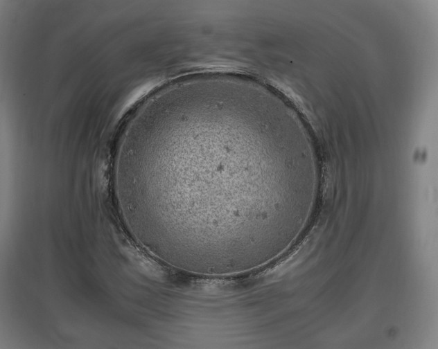 X0000096961163200802151229