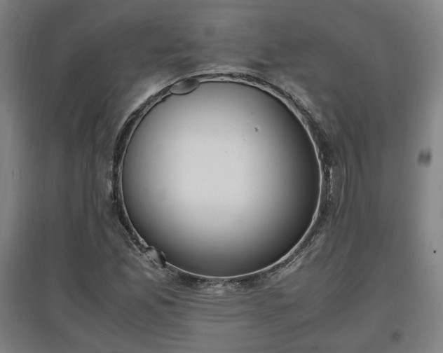 X0000096961165200802151229