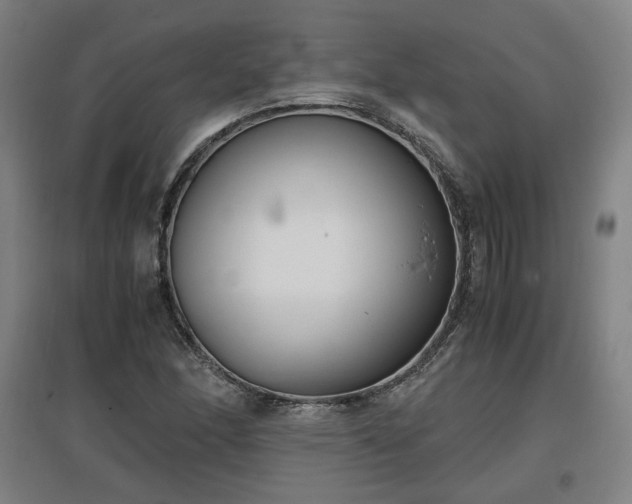 X0000096961166200802151229