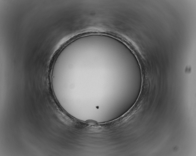 X0000096961168200802151229