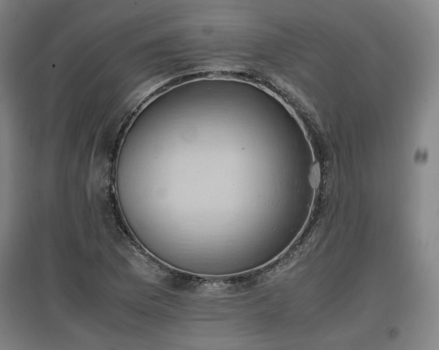 X0000096961169200802151229