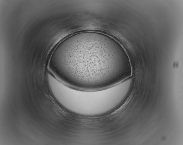 X0000096961170200802151229