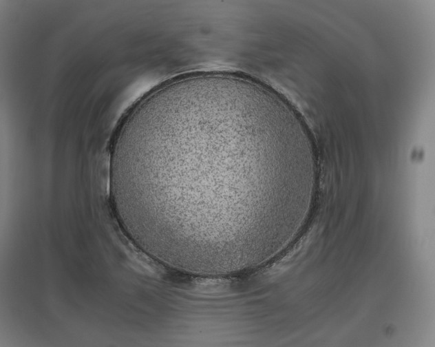 X0000096961171200802151229