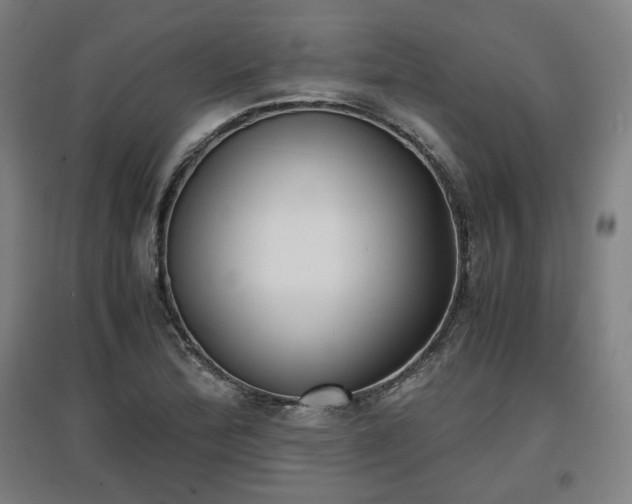 X0000096961172200802151229